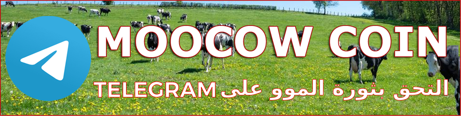 Telegram Banner